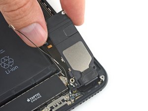 Teardown image of an apple product.