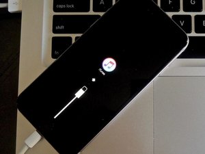 Teardown image of an apple product.