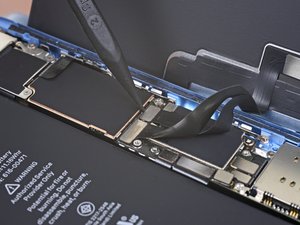 Teardown image of an apple product.