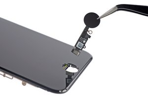 Teardown image of an apple product.