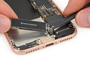 Teardown image of an apple product.