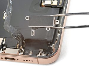 Teardown image of an apple product.
