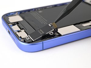 Teardown image of an apple product.