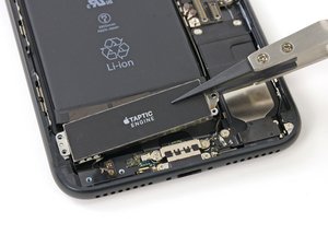 Teardown image of an apple product.
