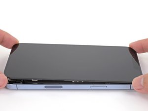 Teardown image of an apple product.